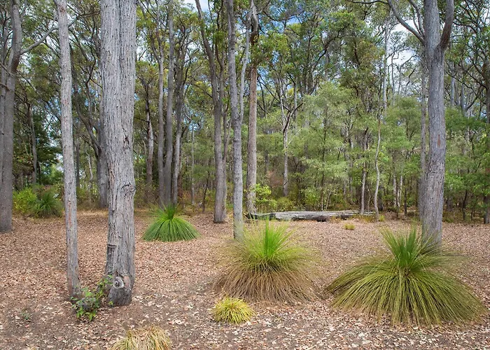 Cape Illawarra Holiday House Margaret River